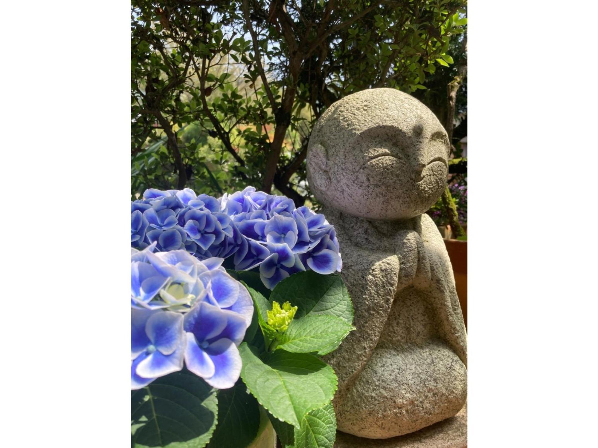Ryoso Chatani - Vacation 43122v Kyoto